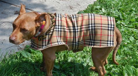 fake burberry dog coat